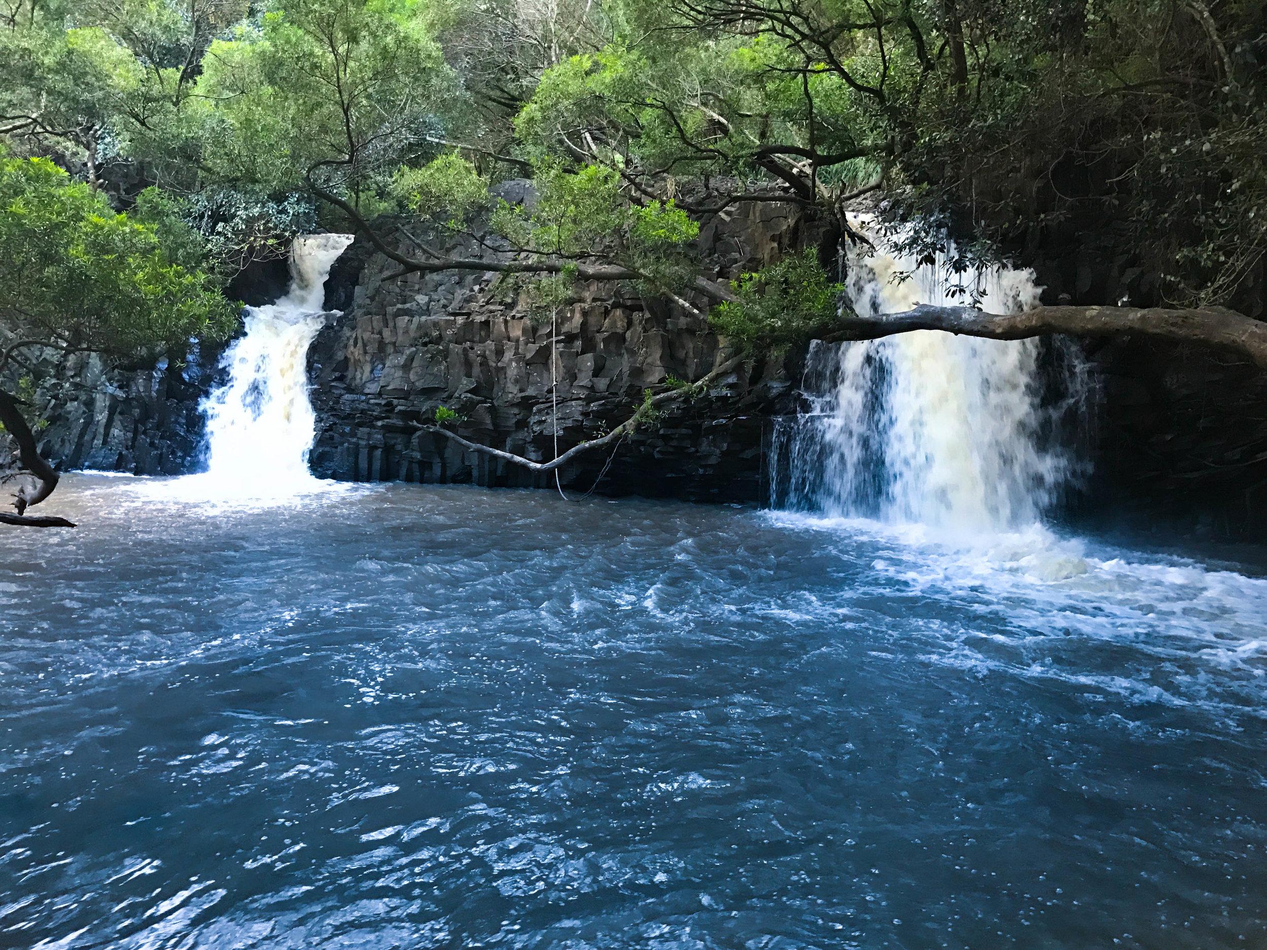 14    MAUI, HI