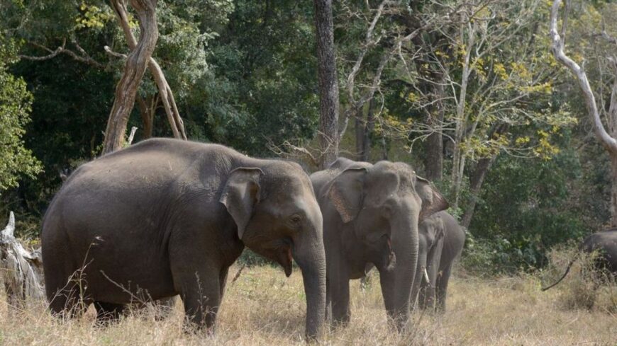 27  Barbil , Odisha, India