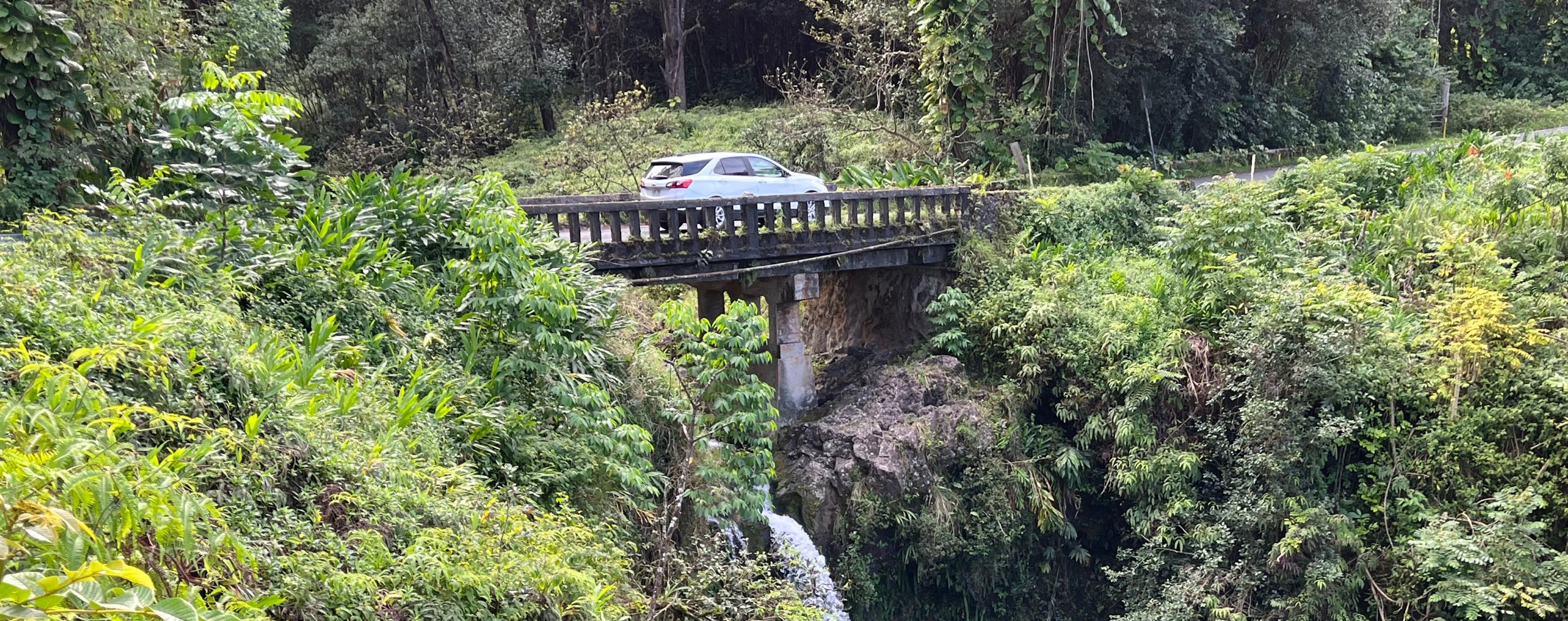 14    MAUI, HI